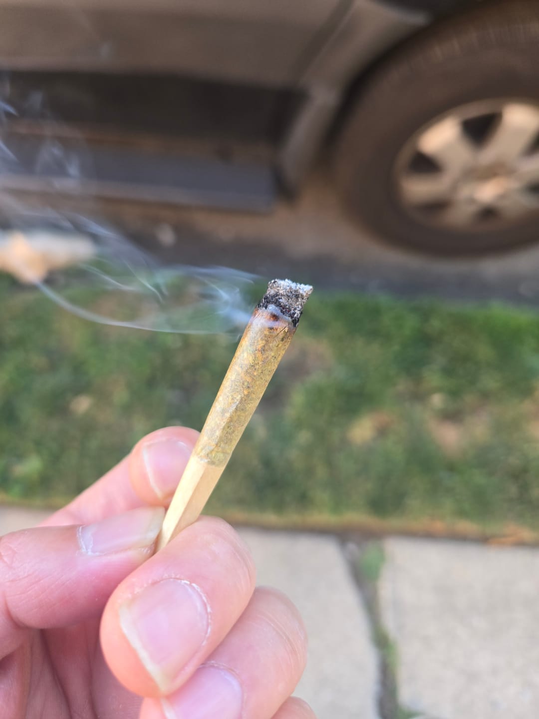 Customer photo review of Platinum Bubba - Bulk - Indica