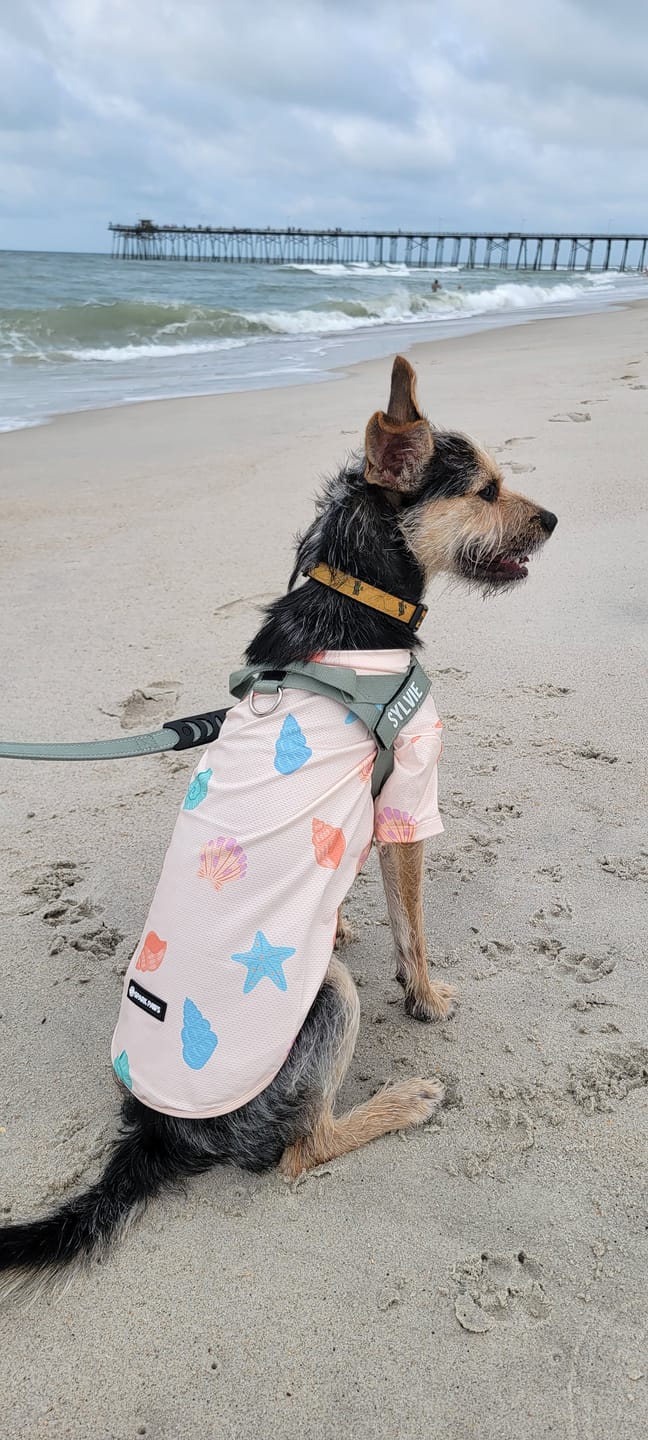 Customer photo review of Sunblock Dog T-Shirt - Seashell