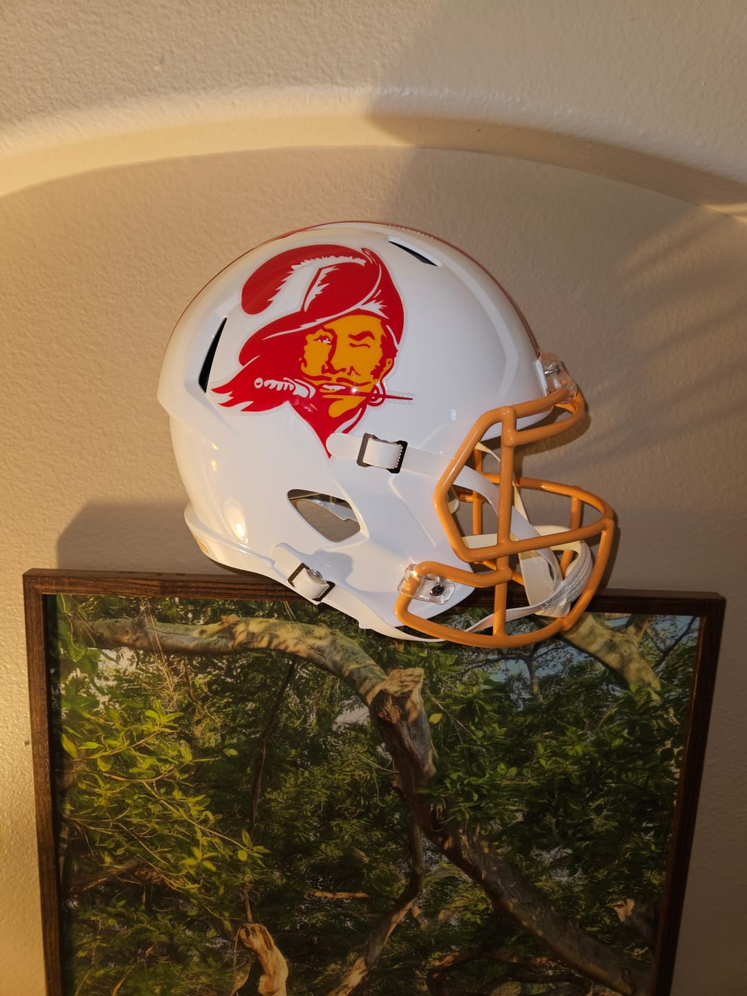 Customer photo review of Tampa Bay Bucs Riddell Speed Replica Helmet - Throwback 1976-1996