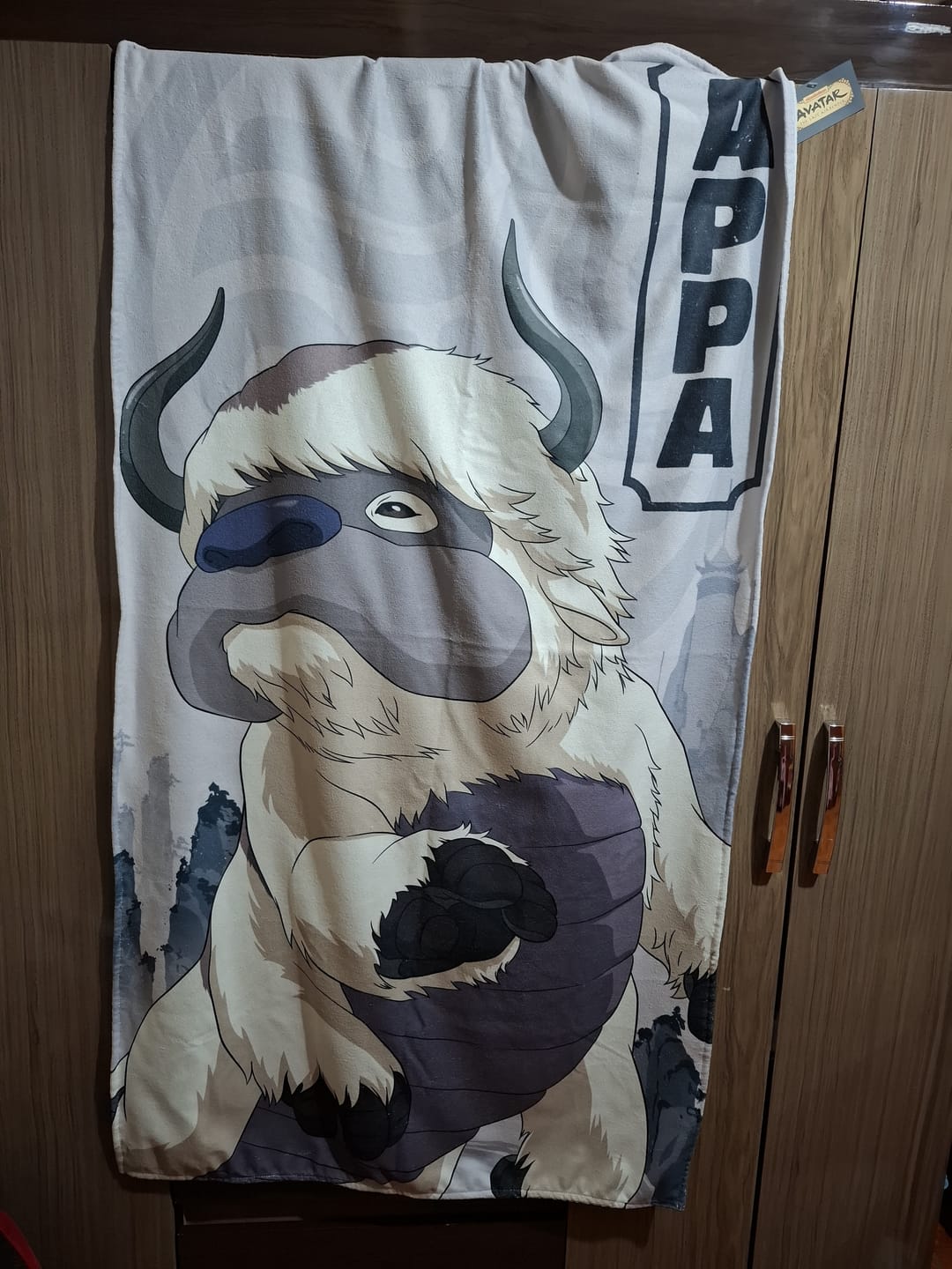 Customer photo review of Toalla Avatar Appa