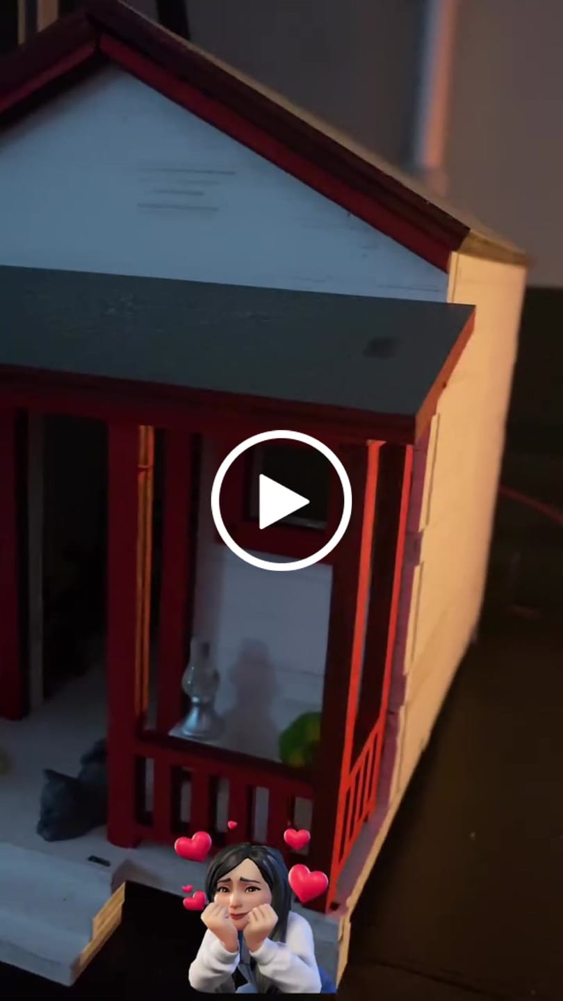 Customer video review of La Casita de Campo - Modelo Alegría | Manualidad con Pinturas
