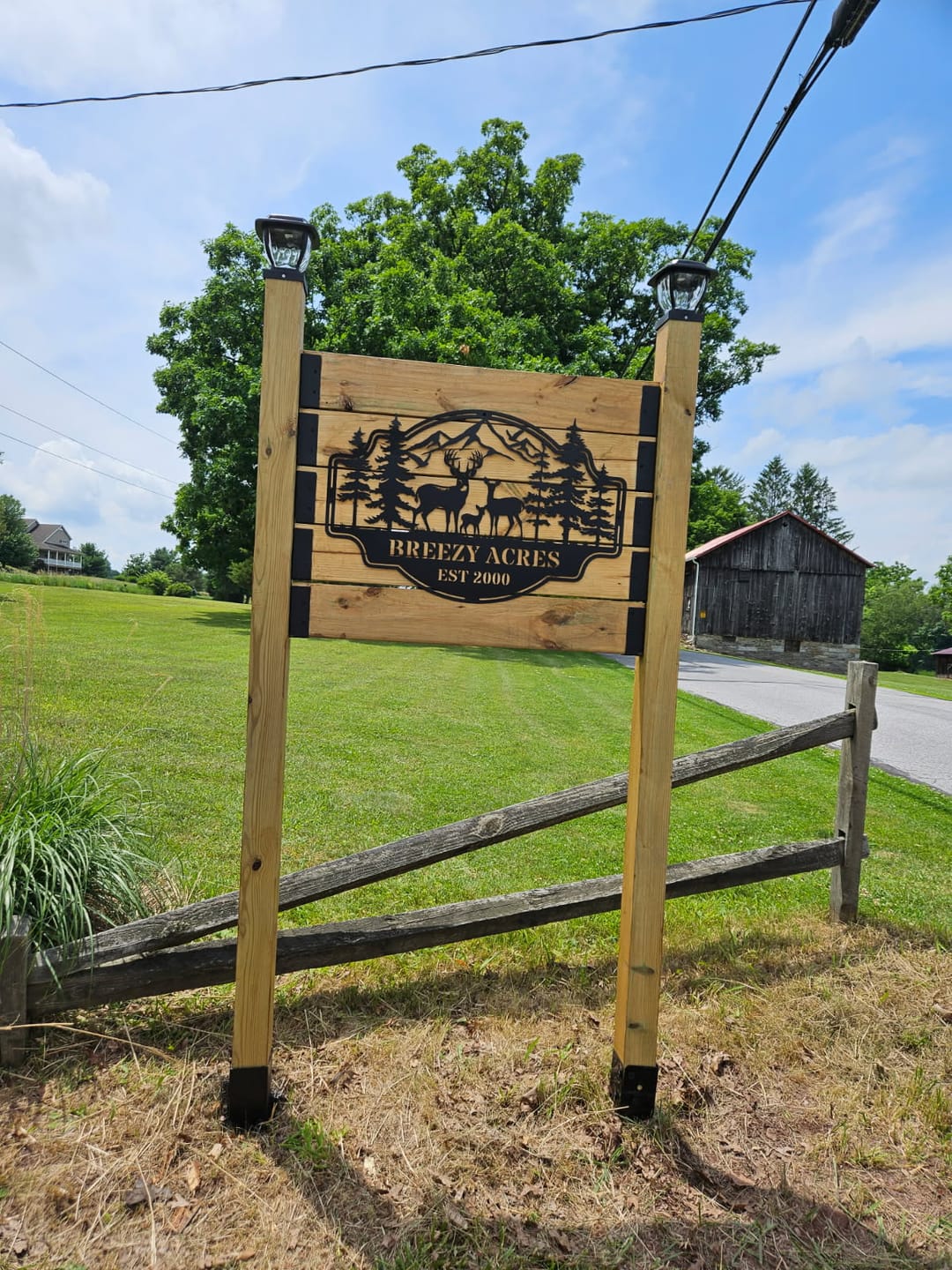 Customer photo review of Forest View Metal Sign