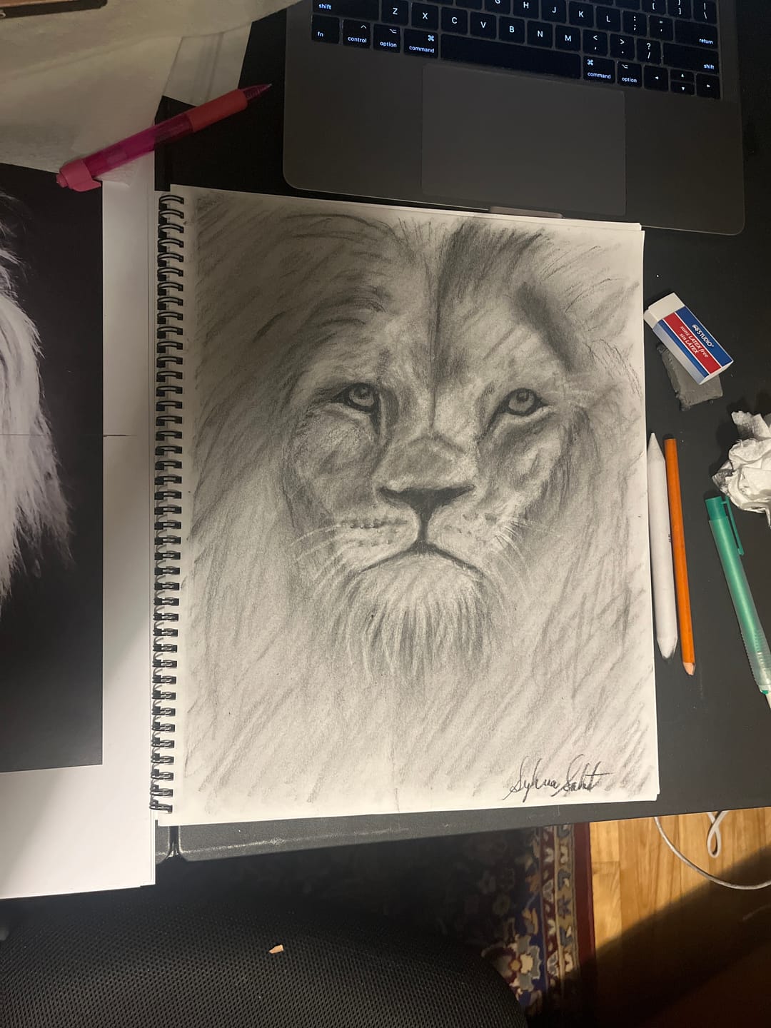 Customer photo review of Sketch Class (Lion)