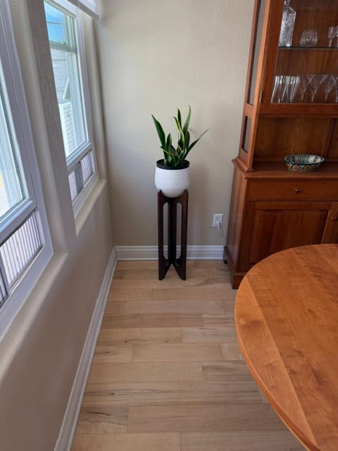 Customer photo review of Arches Plant Stand + Pot Duo