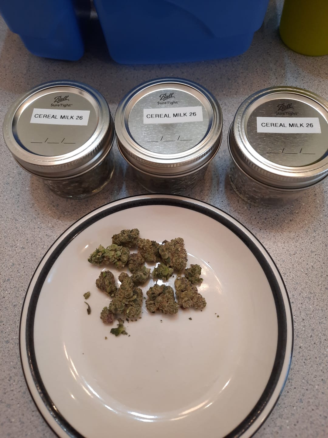 Customer photo review of Cereal Milk THCA Flower (Budget)