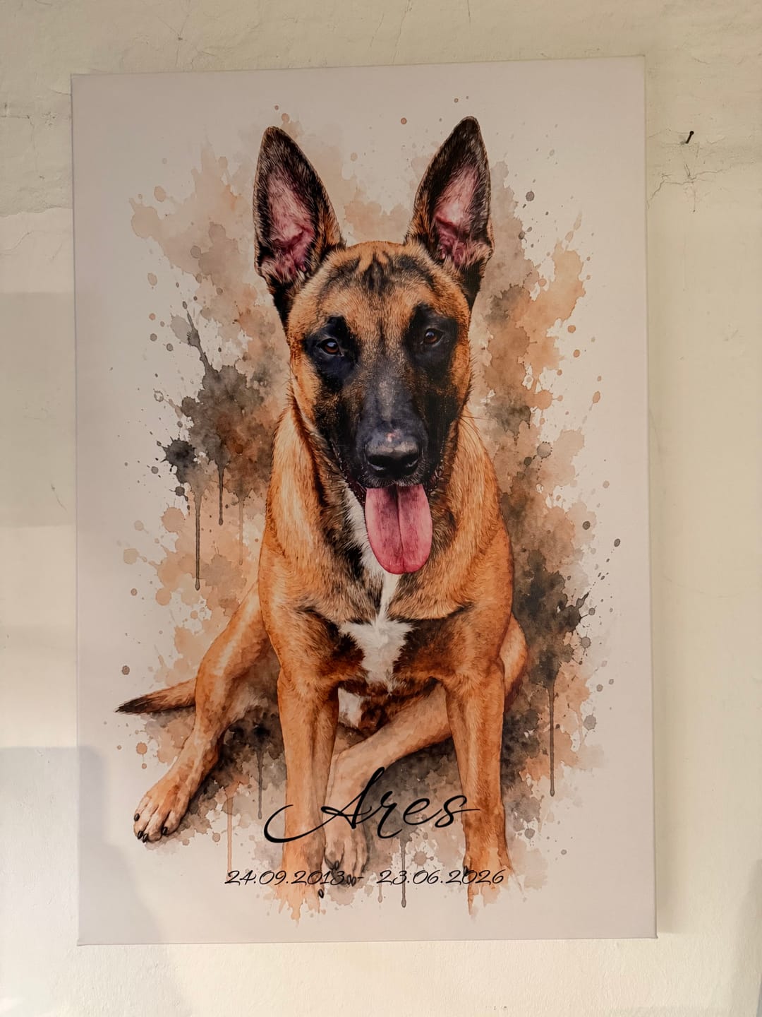Customer photo review of Dein Haustier als Kunstwerk – mit Live-Vorschau, als Poster oder Leinwand
