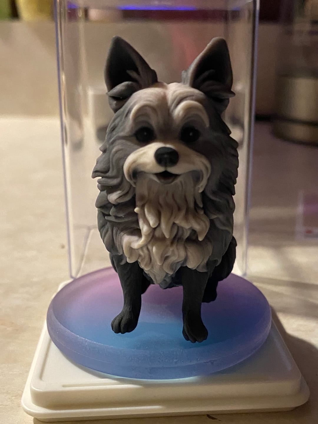Customer photo review of DoDoWish Custom 3D Pet Figurine - From Your Photo
