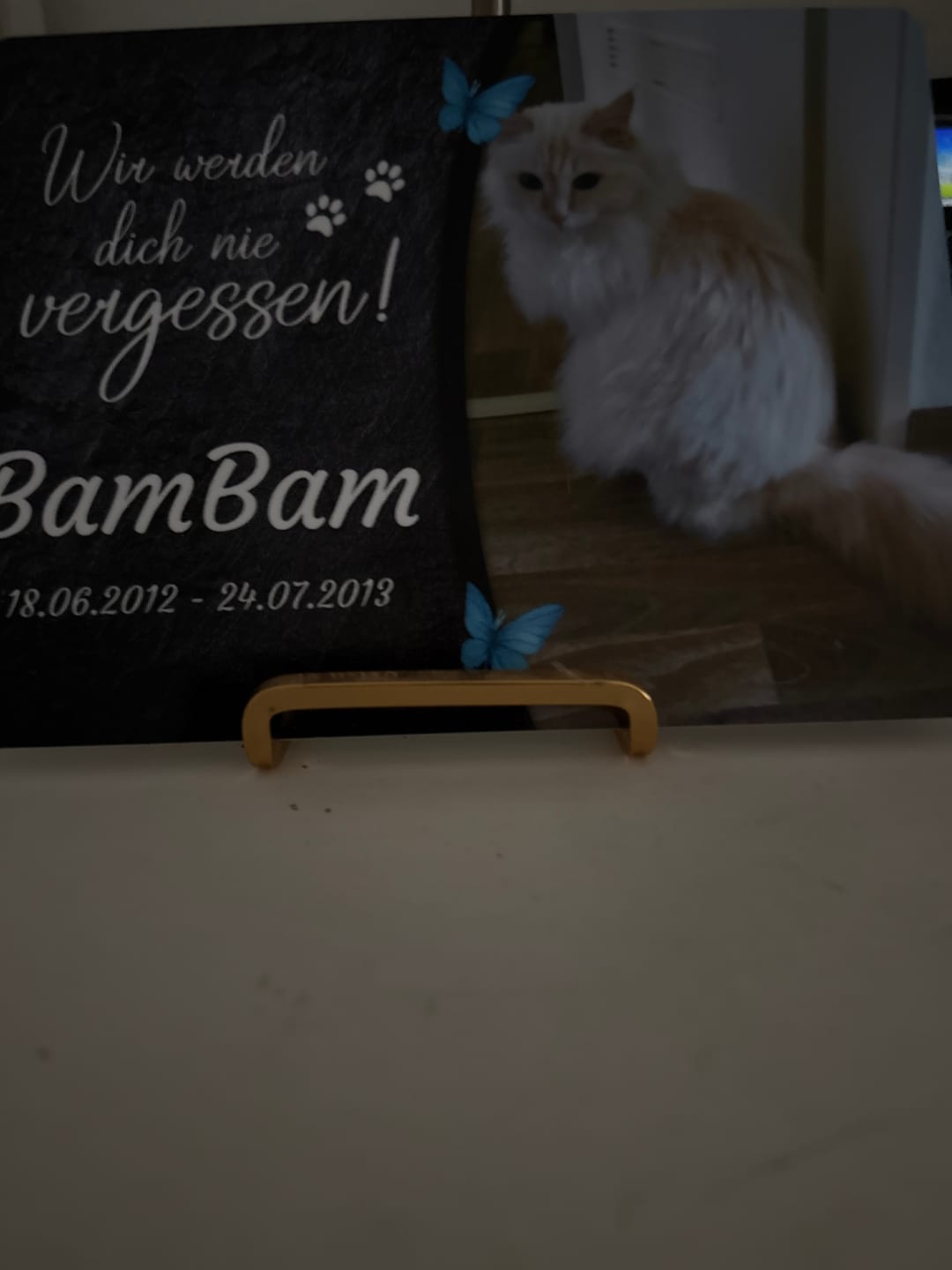 Customer photo review of Katzen Gedenktafel mit Foto & Spruch (UV- & Wetterfest)