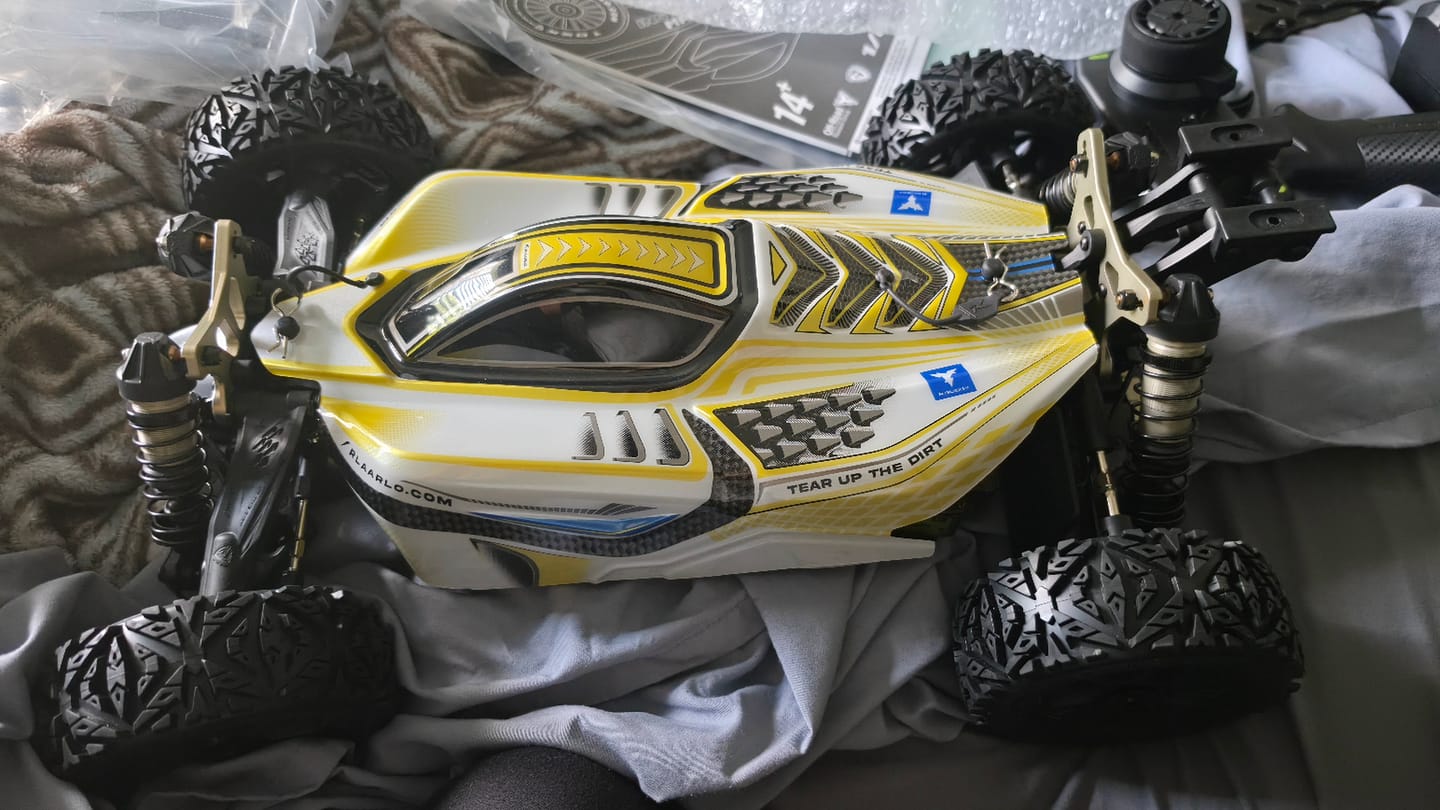 Customer photo review of Rlaarlo 1/8 4WD Buggy Dragon Scale Knight | DSK RTR