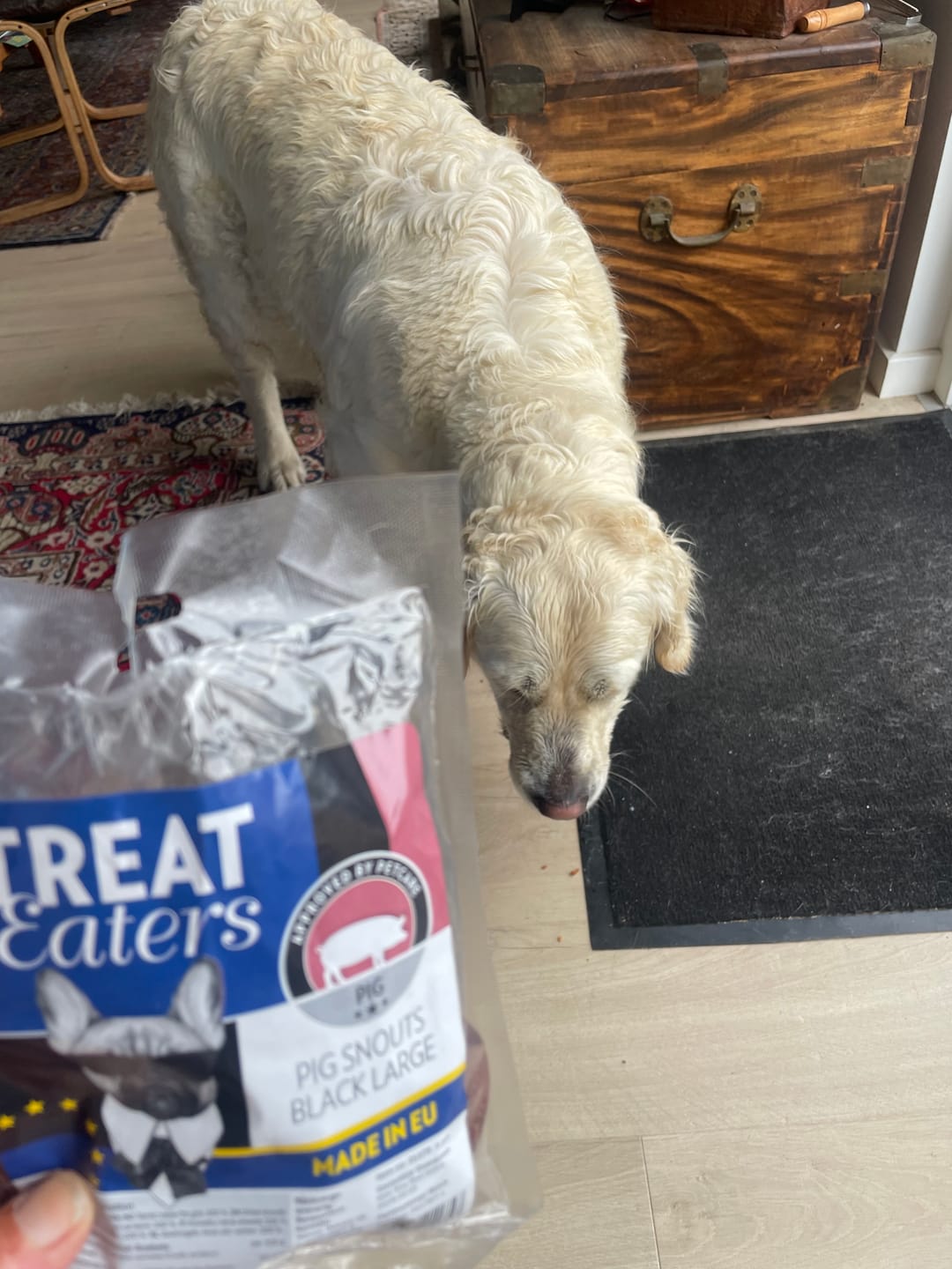 Customer photo review of TreatEaters grisetryner 4-pak