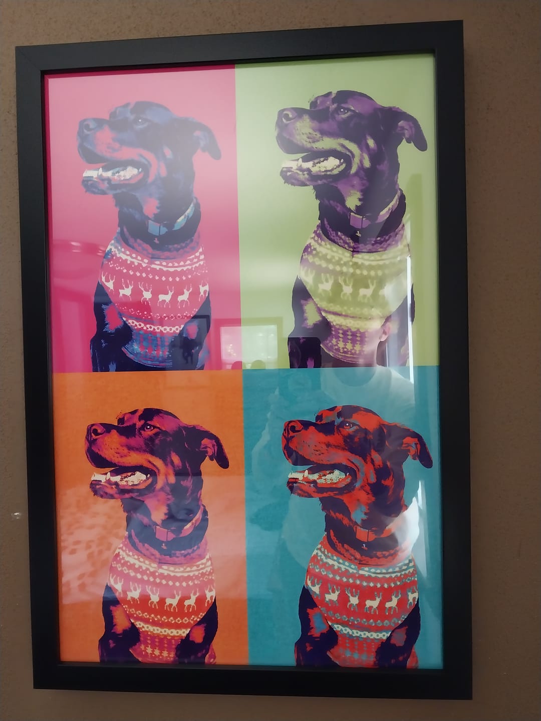 Customer photo review of Color Squares - Personalized Poster