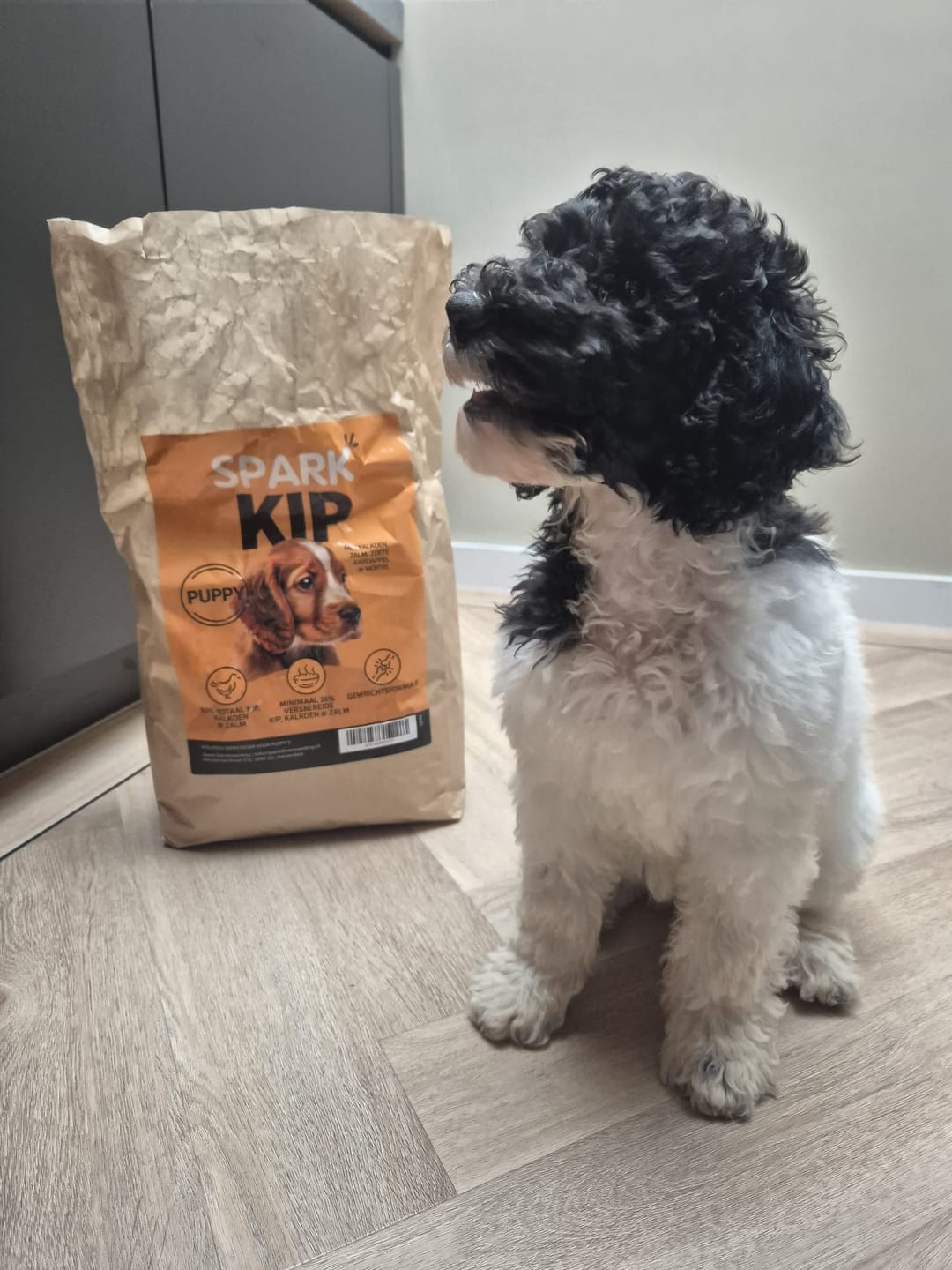 Customer photo review of Puppy - Kip met Kalkoen, Zalm, Zoete Aardappel & Wortel