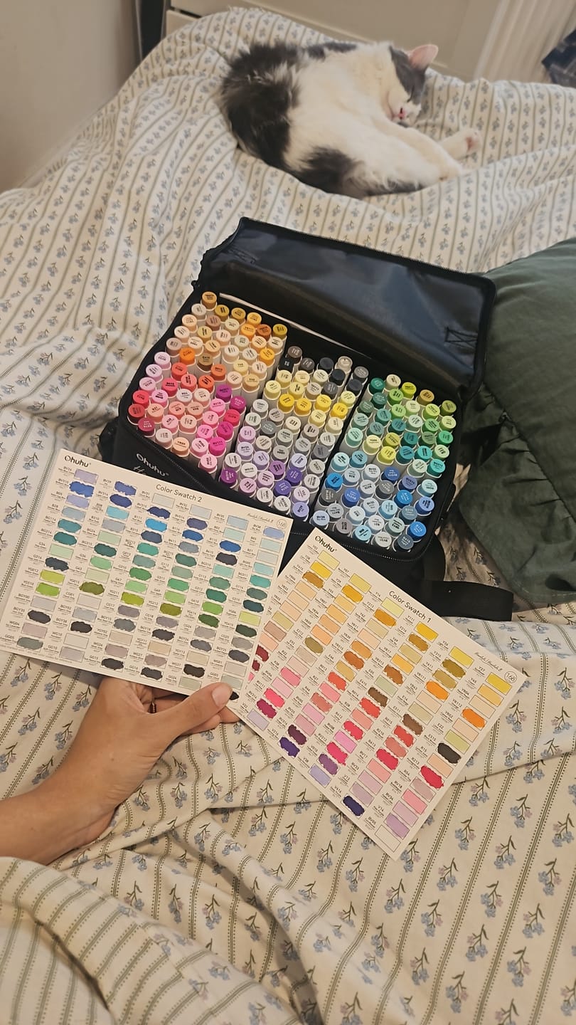 Customer photo review of Ohuhu Honolulu 168 Colors Dual Tips Alcohol Art Markers (New Color Codes)