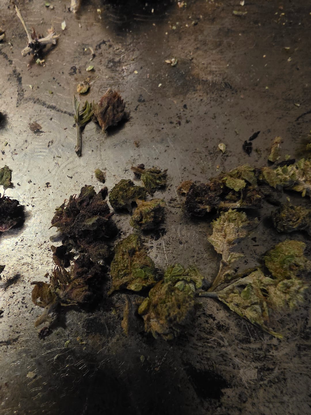 Customer photo review of Chem Dawg - Minis - 28 Grams - Hybrid