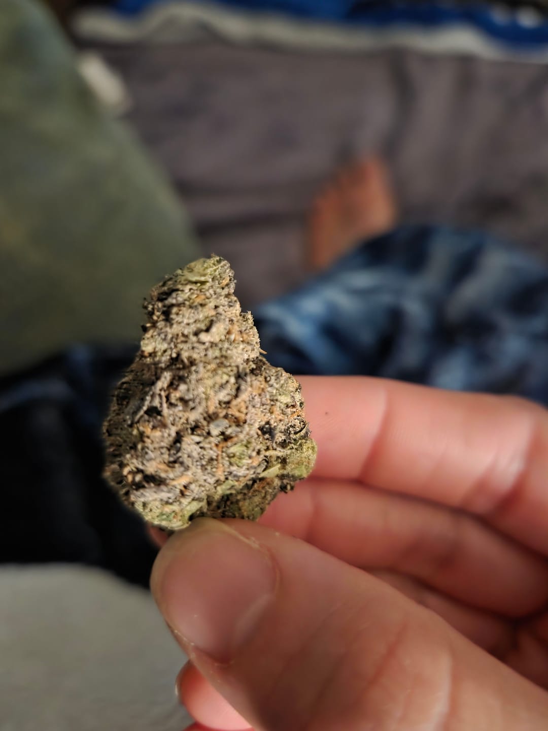 Customer photo review of Indoor Exotics - Hashburger - 28 Grams - Indica