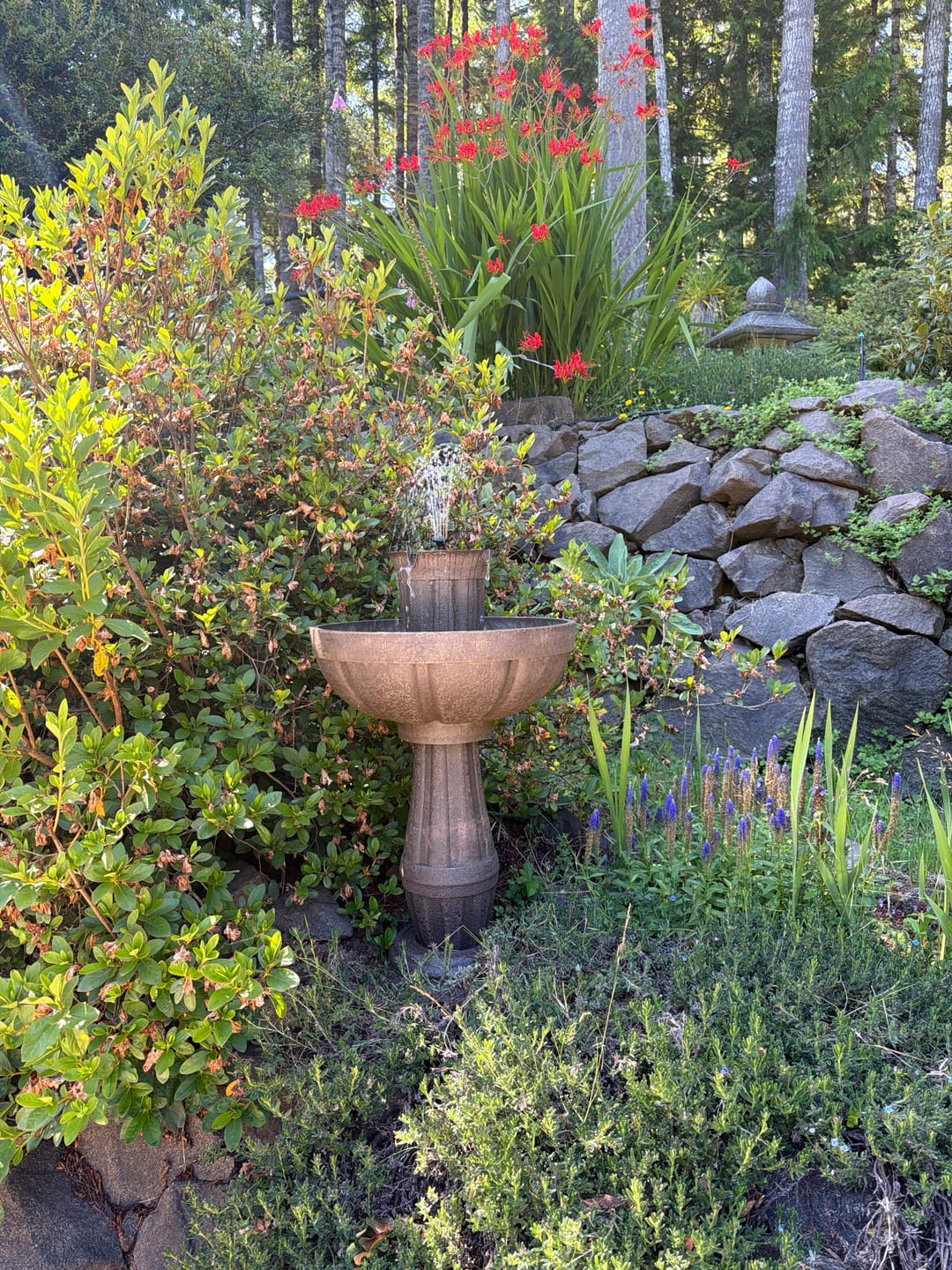 Customer photo review of Bari 5-In-1 Cordless Fluted Fountain