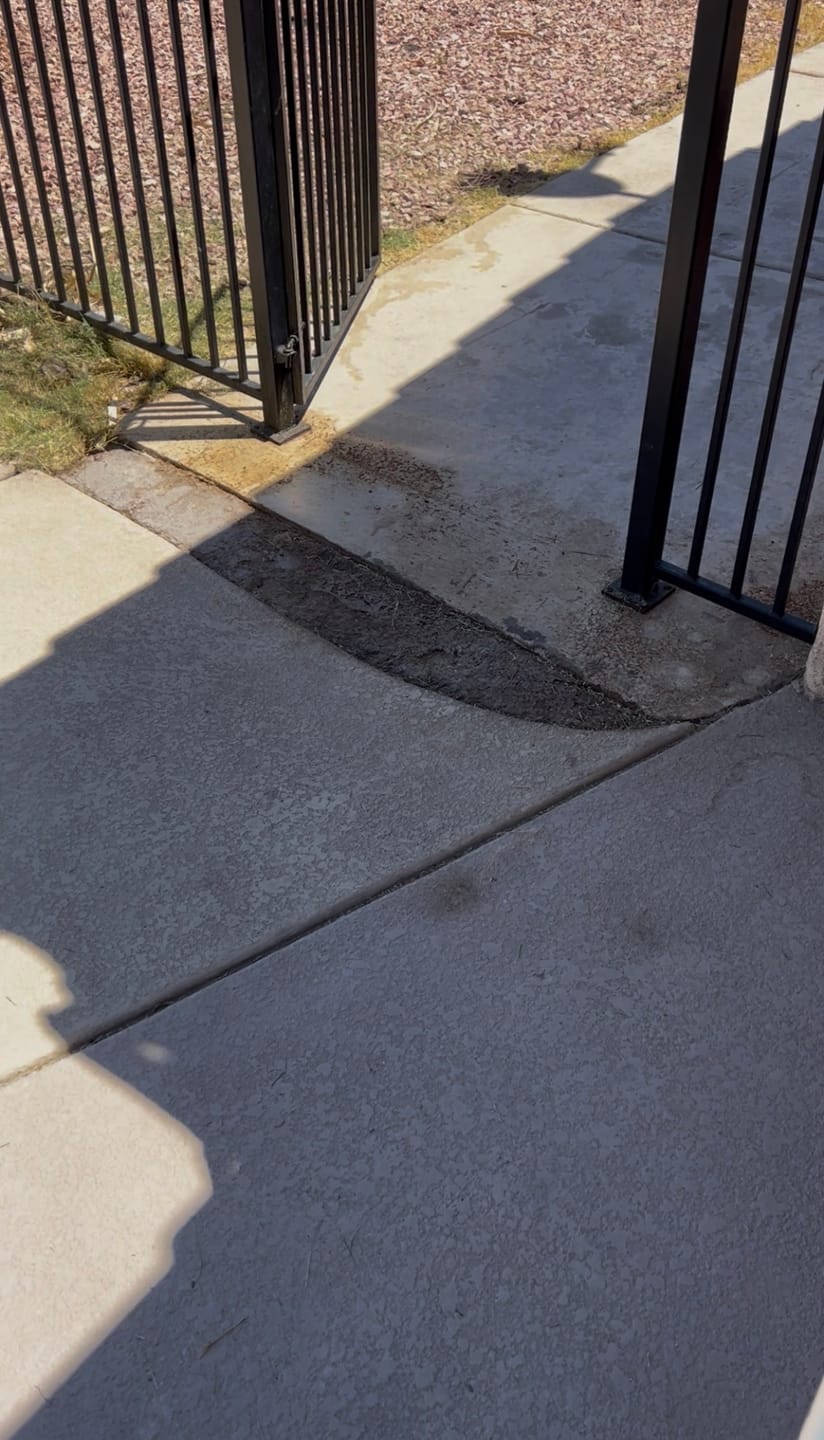 Customer photo review of LawN Order 7% Hydrogen Peroxide Turf Cleaner | Oxy-Action Pet Odor Eliminator