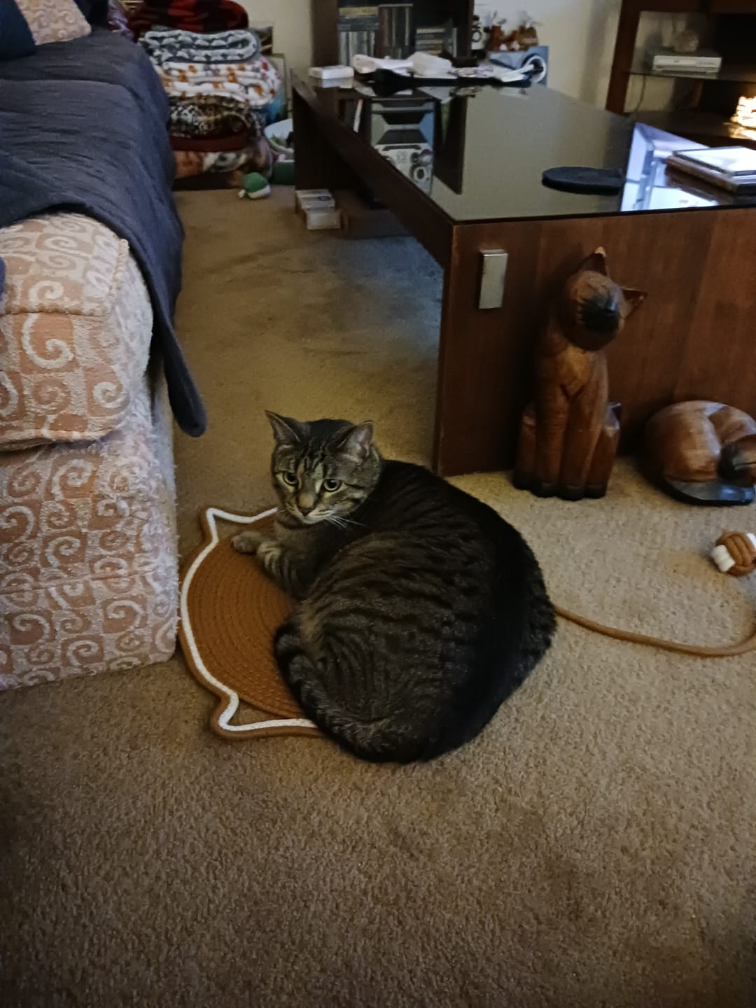 Customer photo review of Instinct Mat | The Scratching Mat Her Biology Actually Recognizes (NEW)