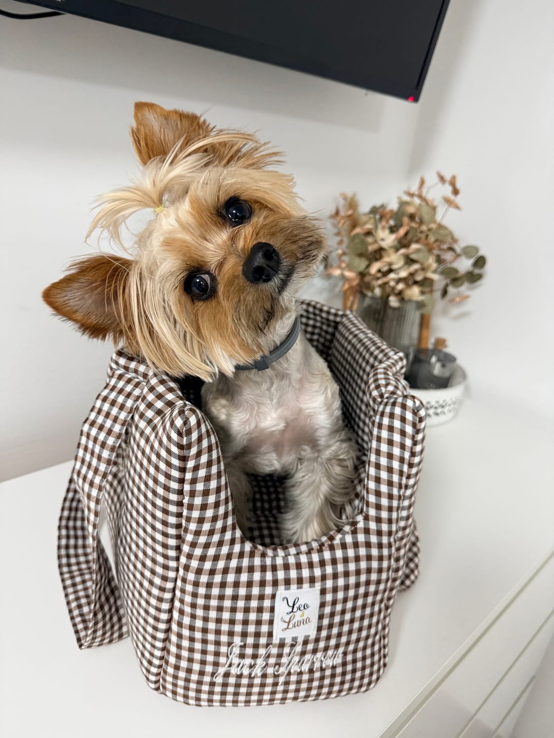 Customer photo review of Borse Trasportino per Cani in Tessuto Vichy | Eleganti, Comode e Made in Italy | Leo e Luna