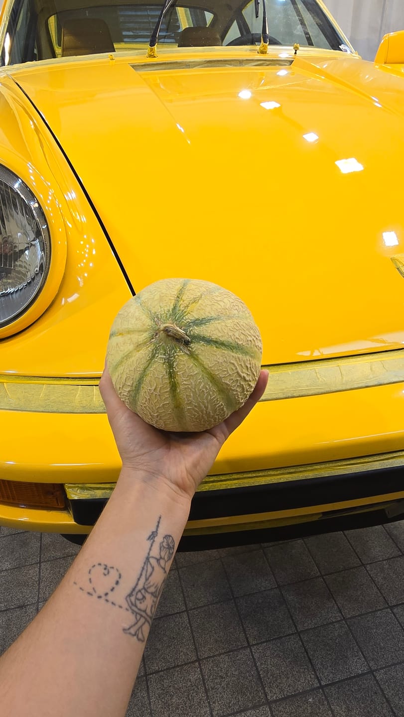 Customer photo review of Honigmelone Bio Charentais aus der Provence