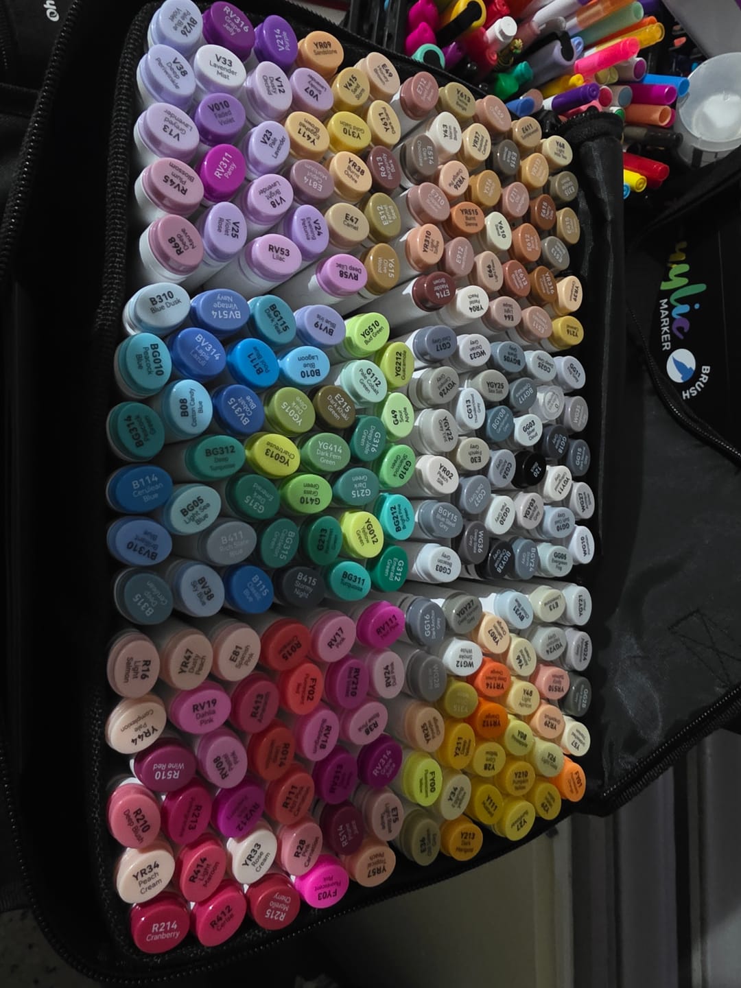 Customer photo review of Ohuhu Oahu 200 Colors Dual Tips Alcohol Art Markers, Fine & Chisel