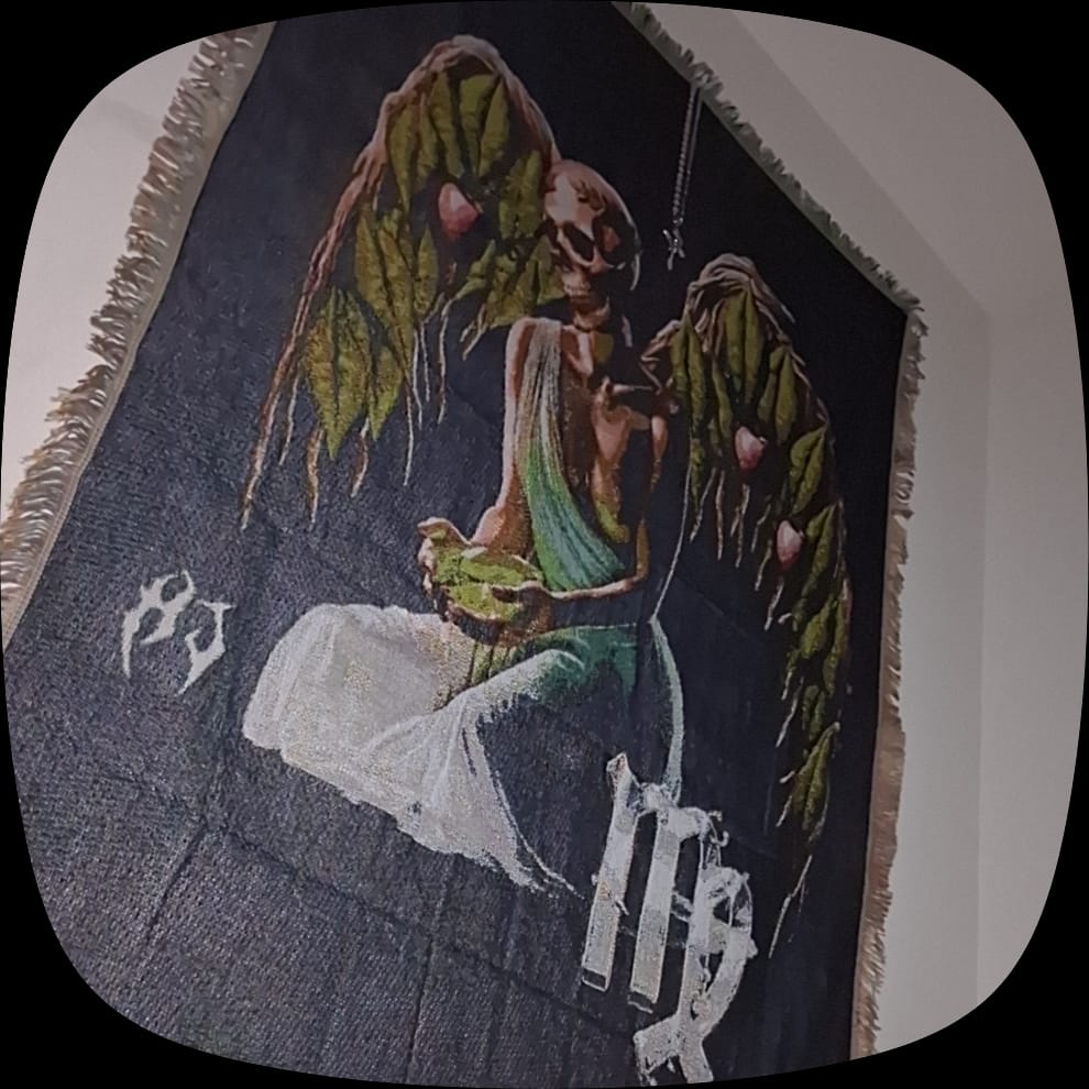 Customer photo review of ZODIAC TAPESTRY