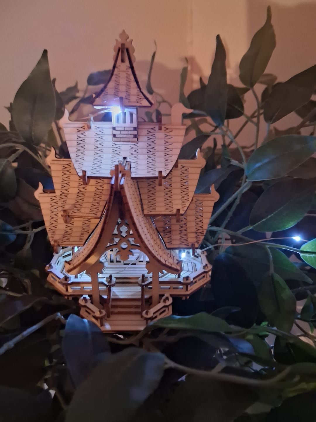 Customer photo review of Temple of Joy