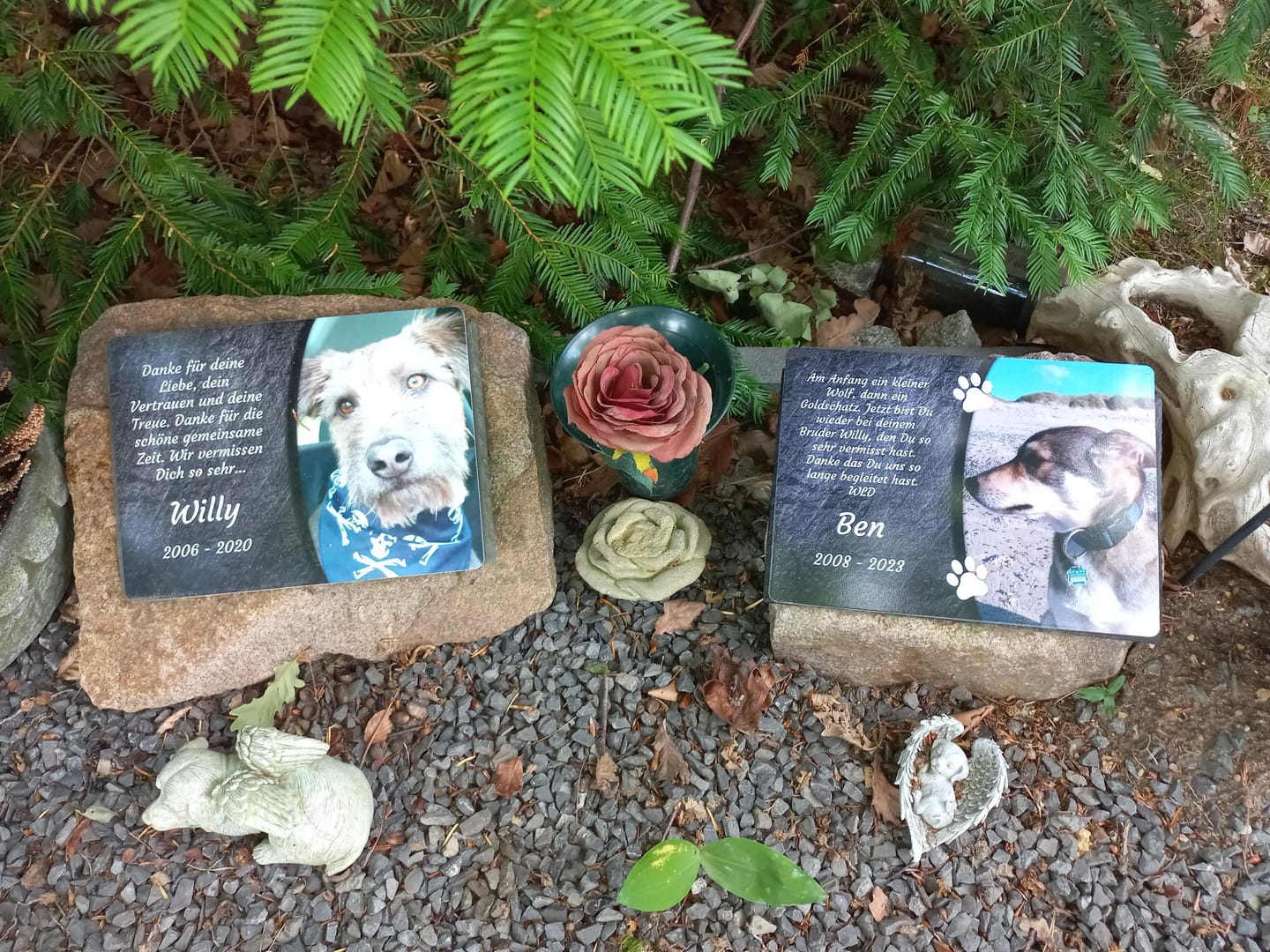 Customer photo review of Hunde Gedenktafel mit Foto & Spruch (UV- &  Wetterfest)