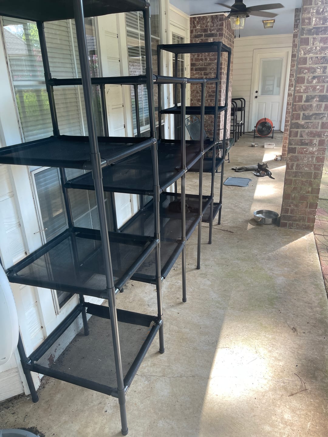 Customer photo review of Durable Cat Tower - Vista