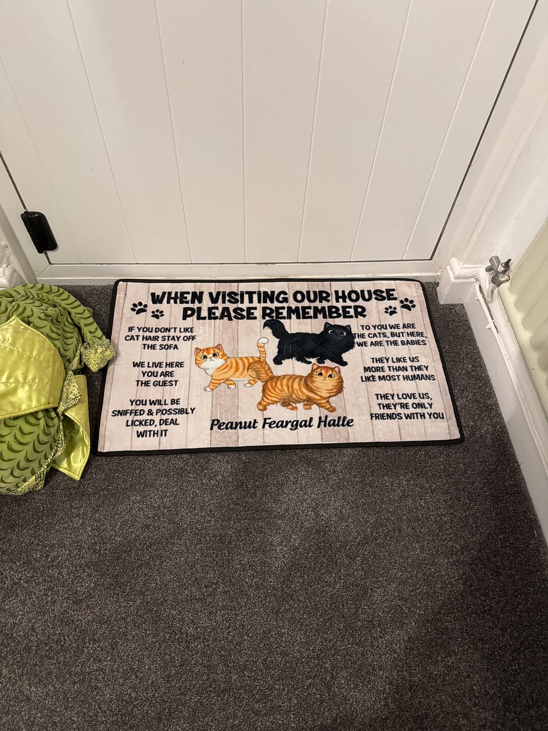 Customer photo review of Please Remember When Visiting Cats House Personalized Doormat