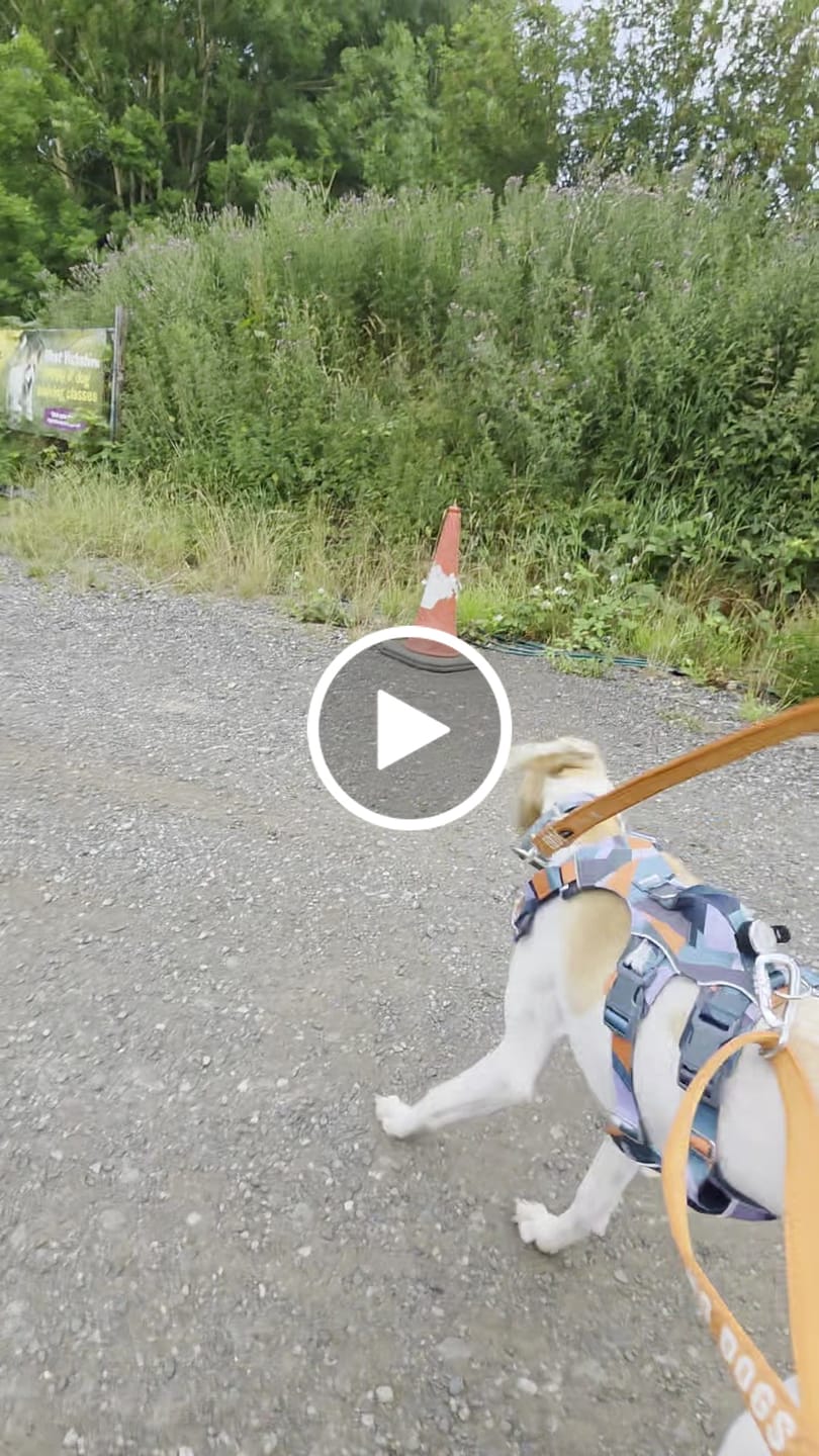 Customer video review of Awareness Multi-Way Lead