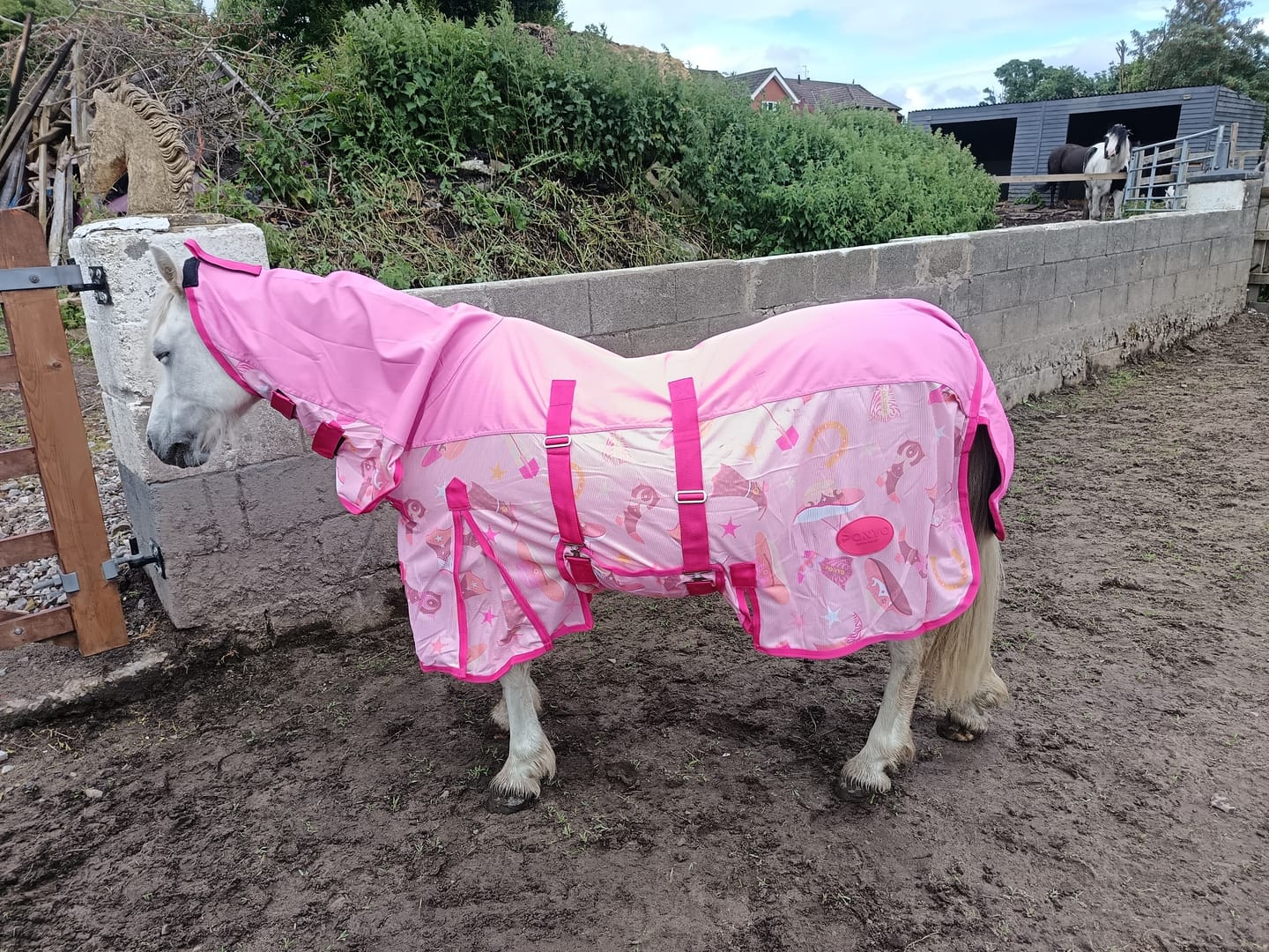 Customer photo review of NEW Country Star Fly Rug