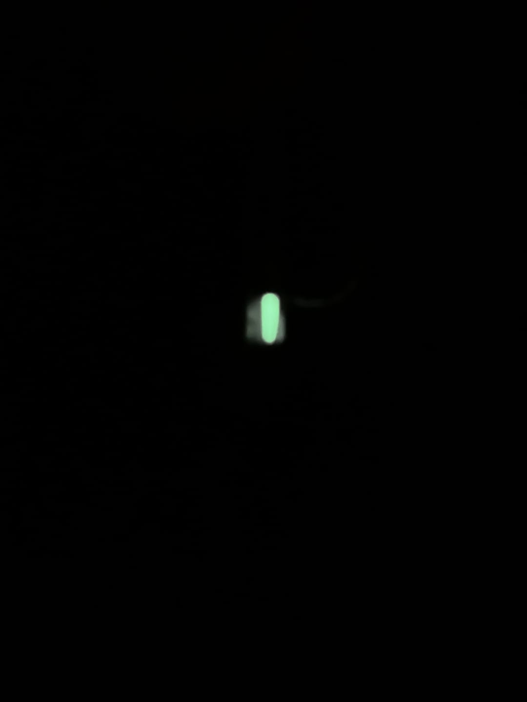Customer photo review of Tritium Glow Fob