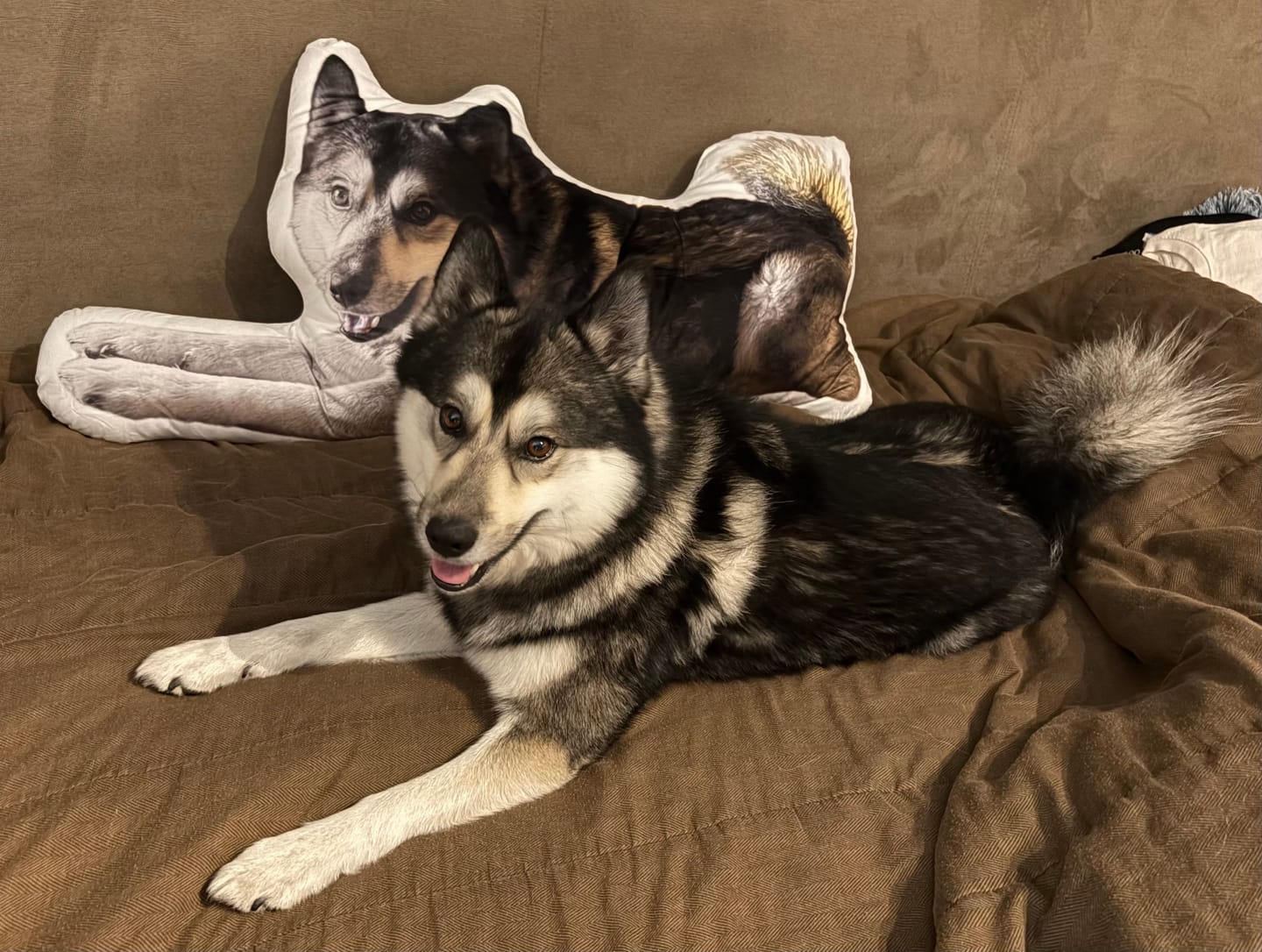 Customer photo review of Custom Shaped Pillow with Loved One Picture of Person/Pet Personalized 3d Photo Pillow