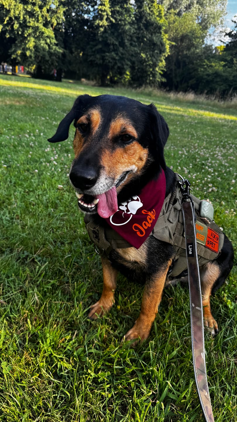 Customer photo review of DNA Test Rassebestimmung Pro Hund