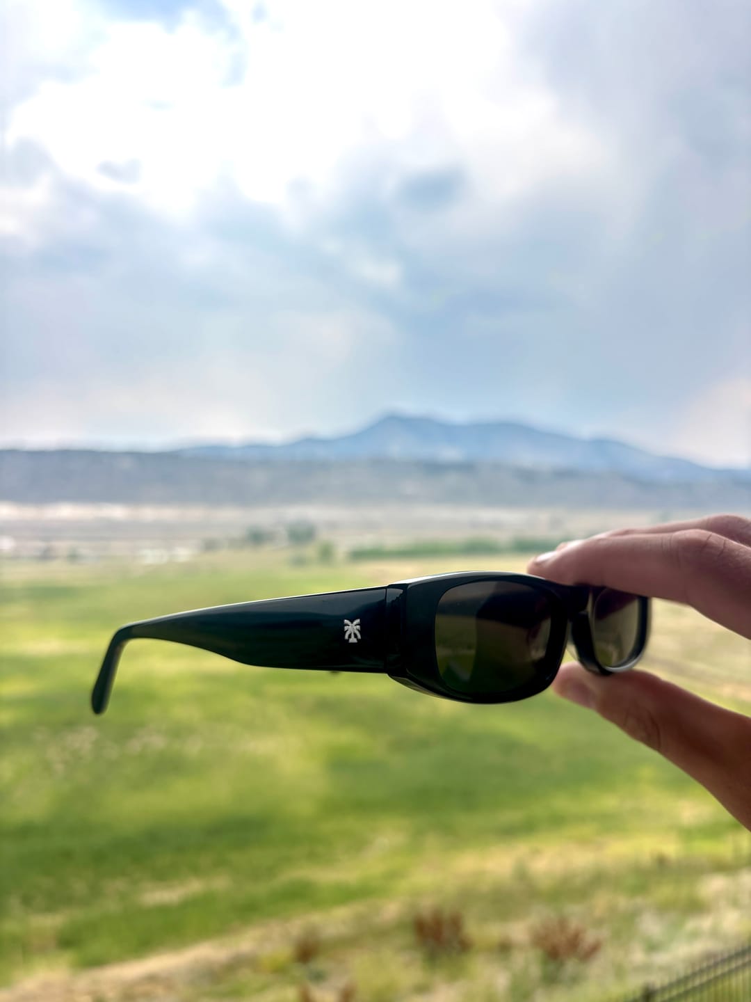 Customer photo review of GROOVERS
