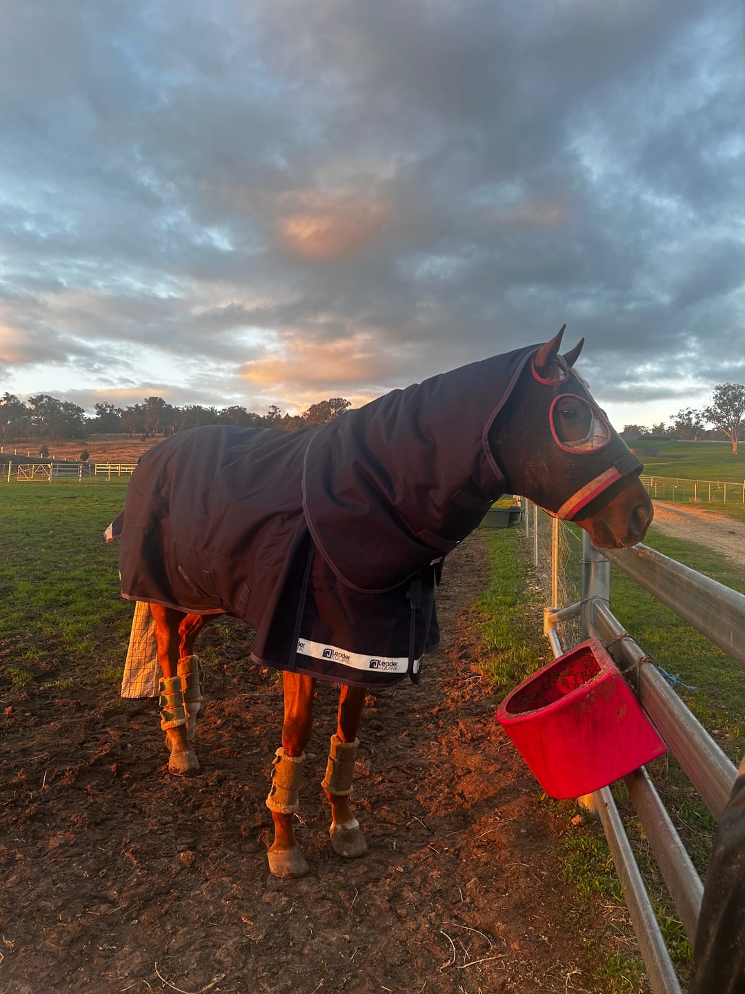 Customer photo review of LE Boxter Turnout Ripstop 200g
