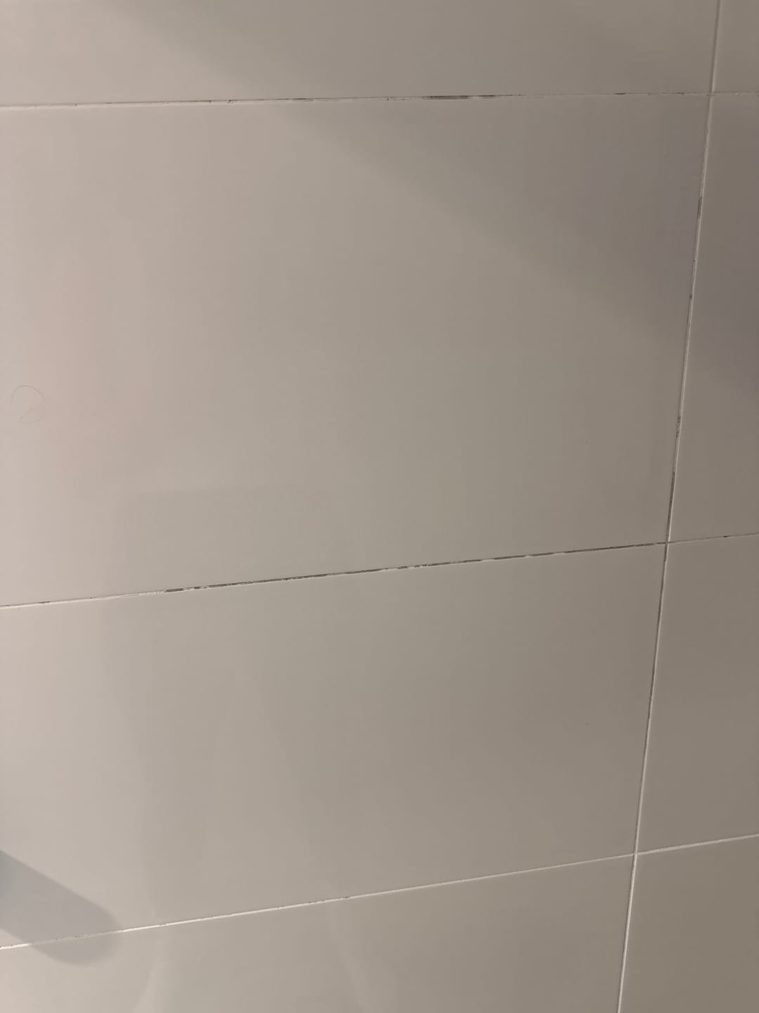 Customer photo review of GLASSGUARD® Miracle Mould Removal Gel x 2