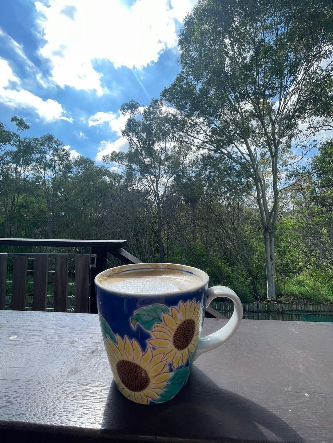 Customer photo review of Deluxe Lactation Hot Chocolate - GF, DF & SF