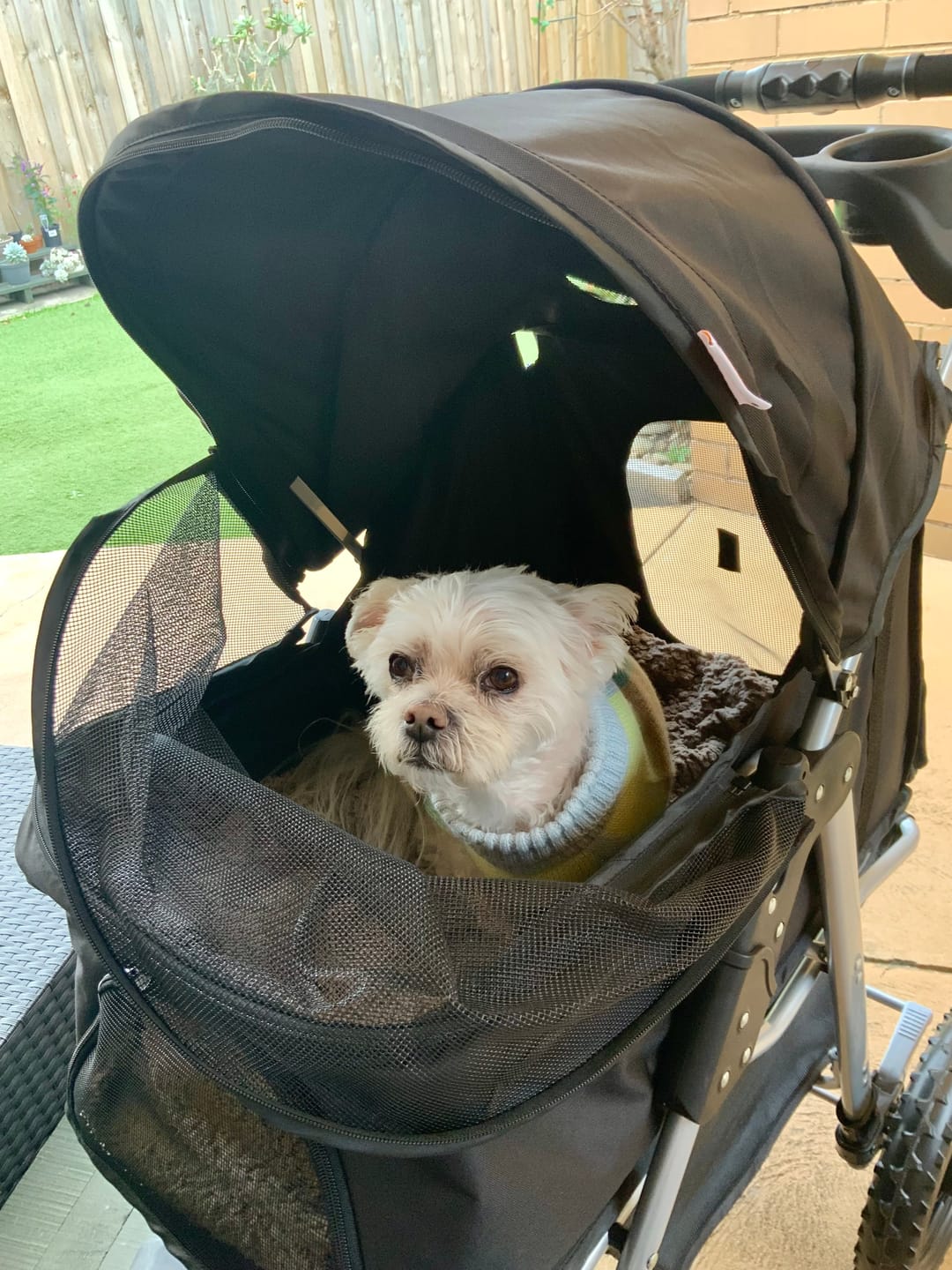 Customer photo review of Pet Dog Stroller Pram - Black