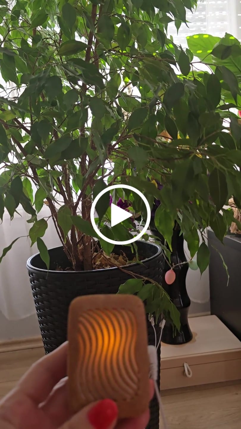 Customer video review of PlantWave