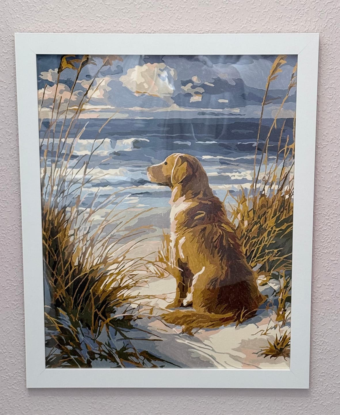 Customer photo review of Waiting Labrador | Paint by Number