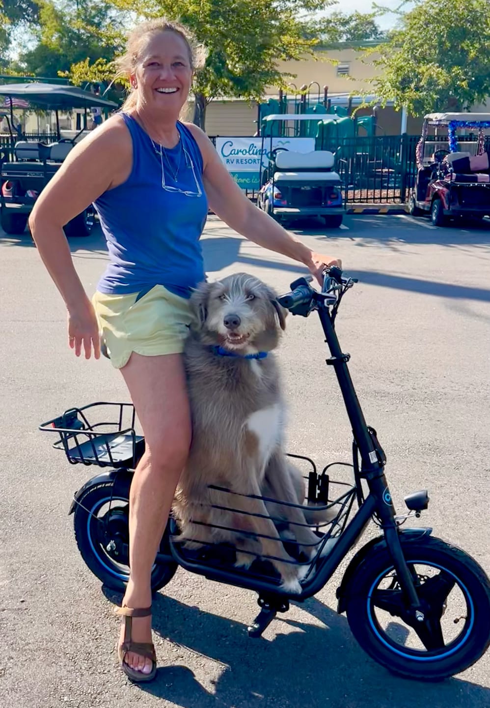 Customer photo review of Gyroor C1Plus 1000W Electric Scooter with Dual Baskets for Pets & Cargo