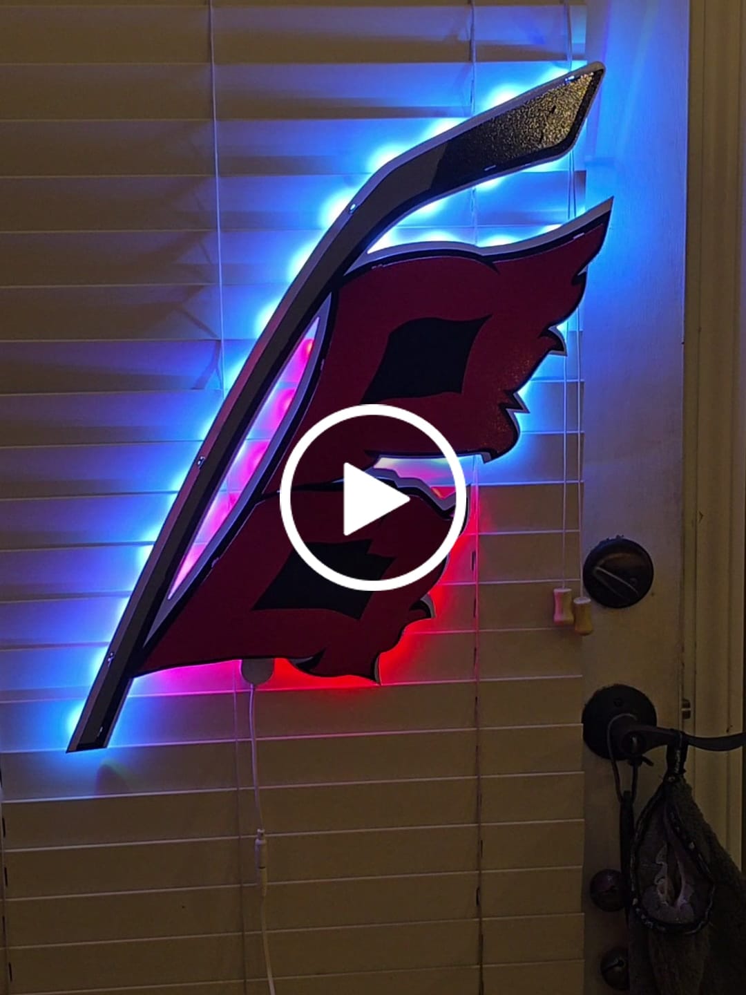 Customer video review of Carolina Hurricanes Flag NHL 3D Vintage Metal Wall Art