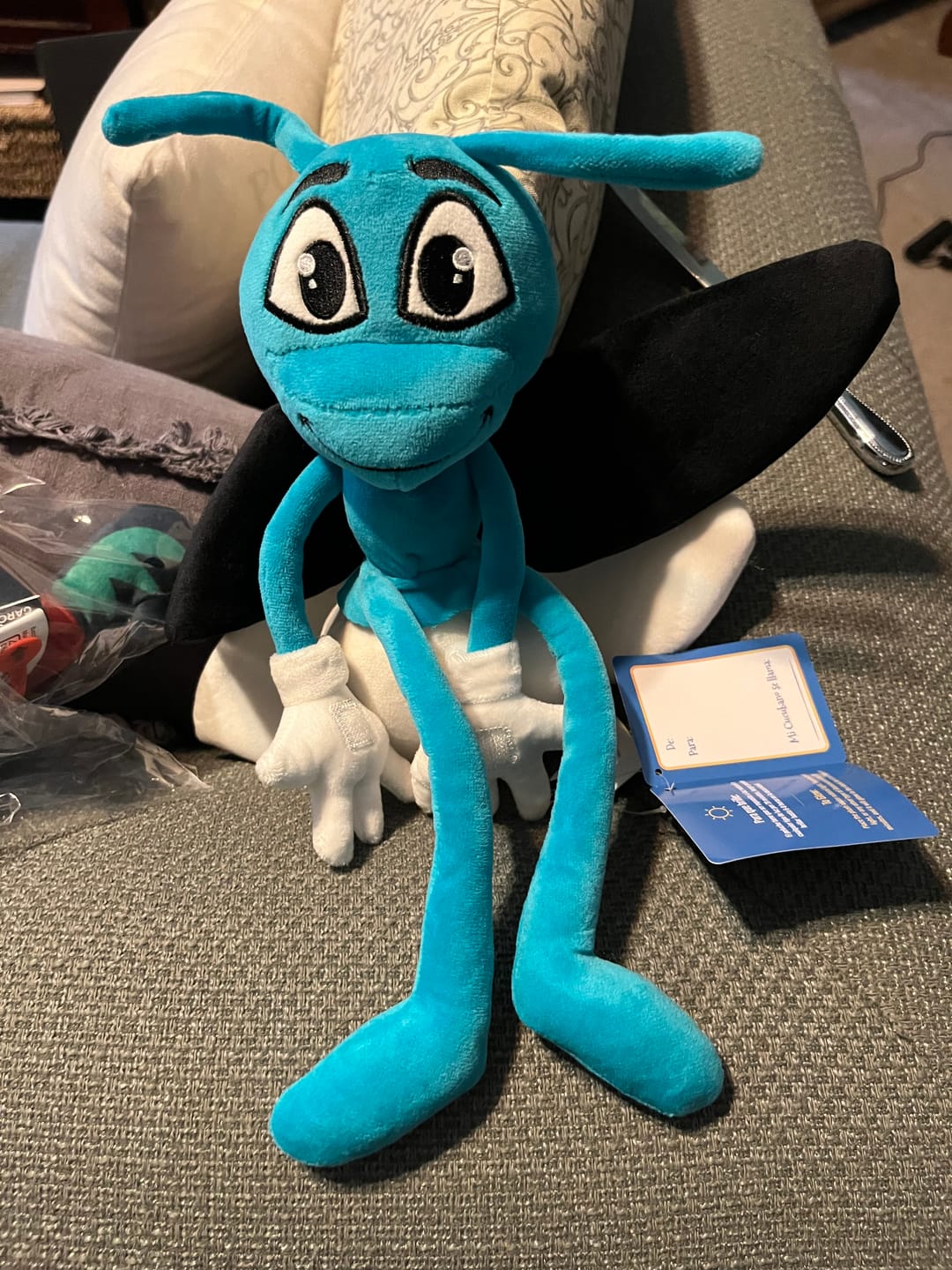 Customer photo review of El Gallo García | Peluche con Sonido