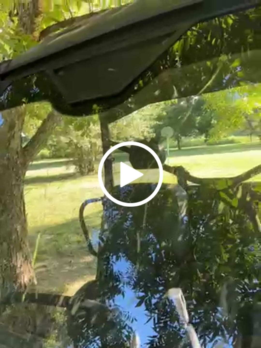 Customer video review of Glass Tip-Out Windshield