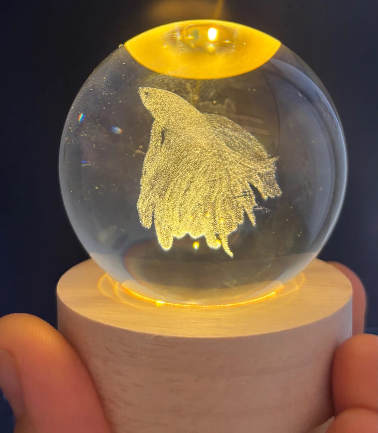 Customer photo review of Esfera de Cristal Personalizada