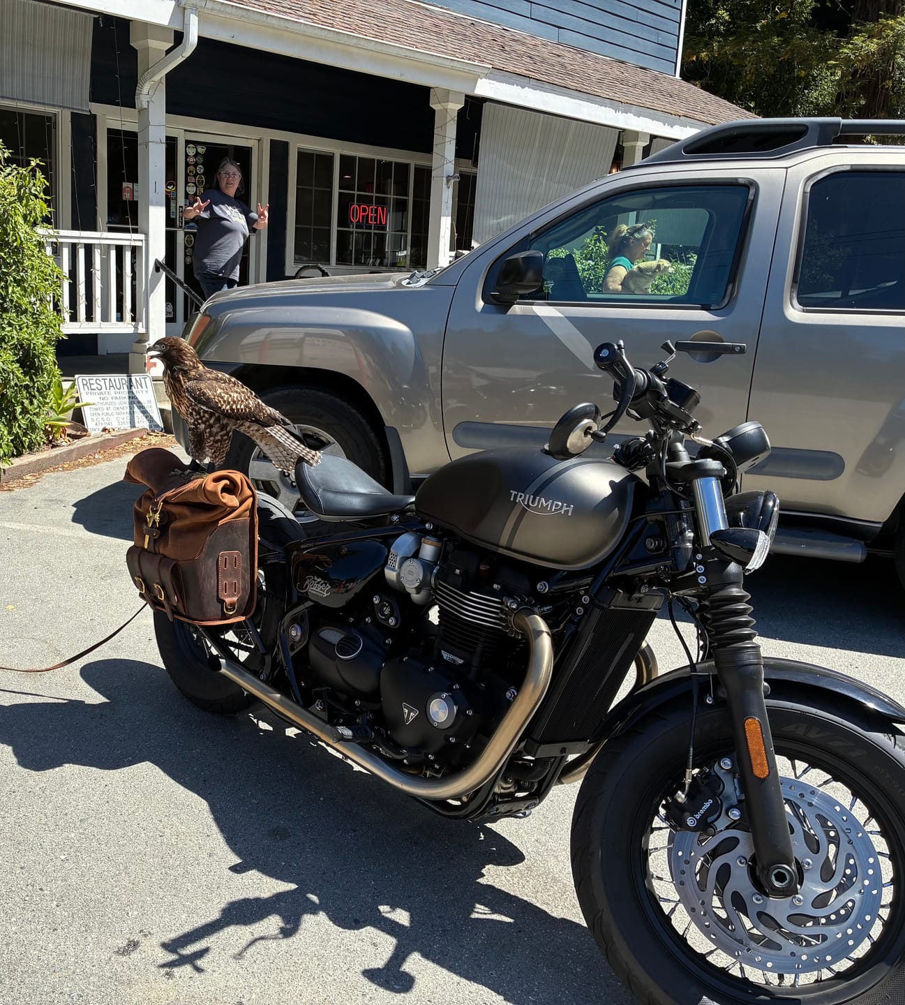 Customer photo review of Triumph Bobber Leather Rolltop Panniers / Saddlebags - TBP01 (Pair)