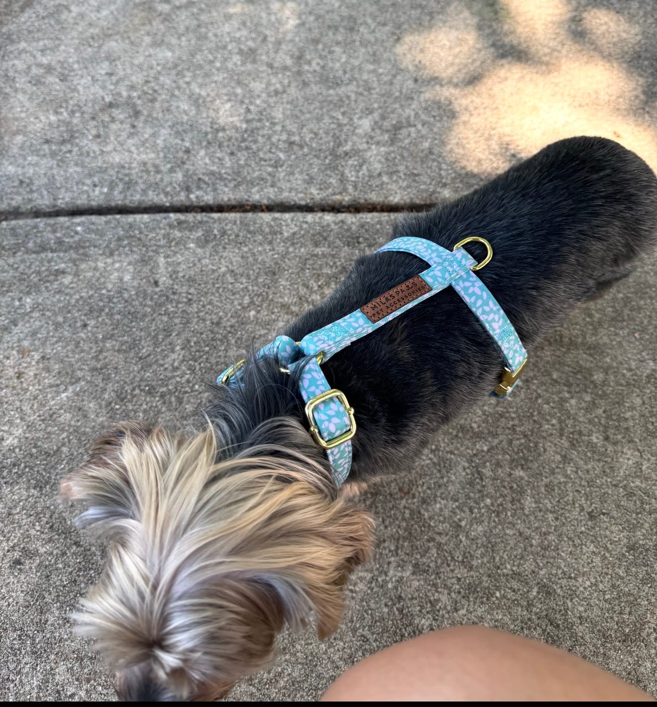Customer photo review of Light Drops Rope Deluxe Bundle