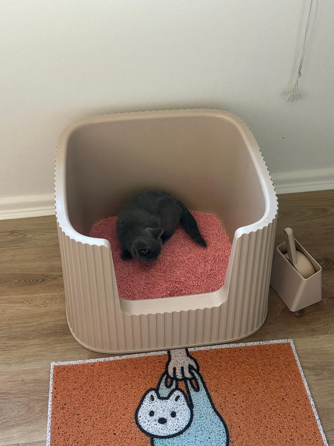 Customer photo review of Michu XXL BoBa Deluxe Cat Litter Box - Spacious Design